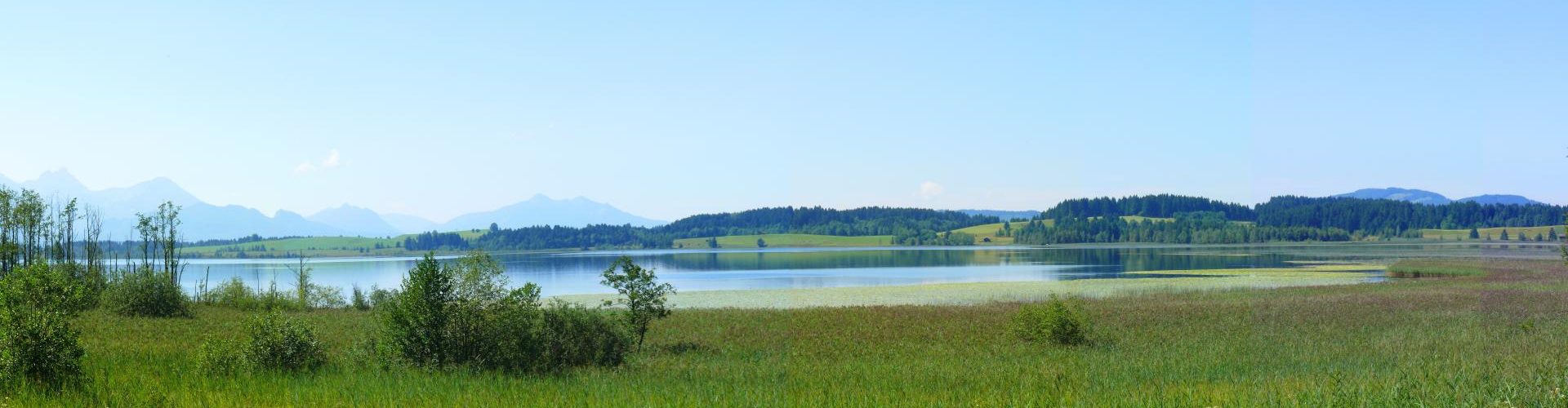 Blick auf den Bannwaldsee